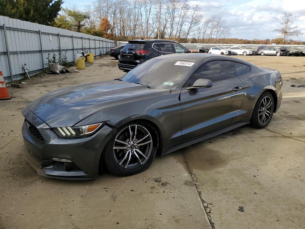 Новый контейнер 18.06.2025