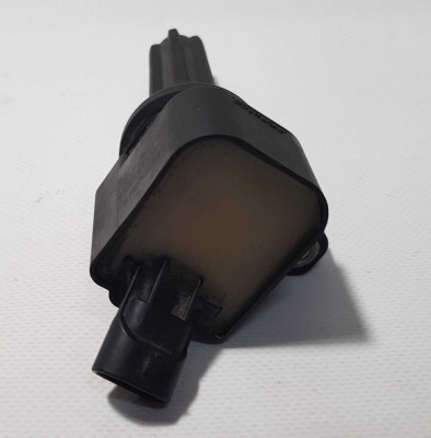 Катушка зажигания Chevrolet TrailBlazer 2006-2009 12596547